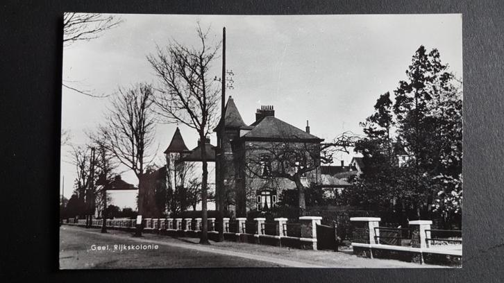 Geel Rijkskolonie, Verzamelen, Postkaarten | België, Ongelopen, Antwerpen, 1940 tot 1960, Ophalen of Verzenden