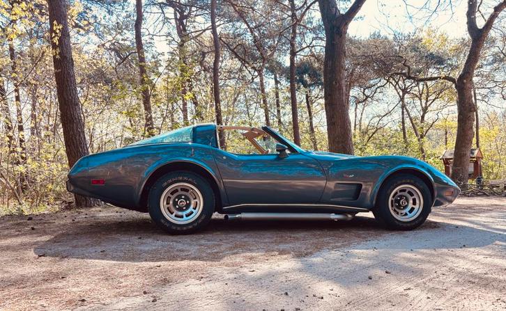 Onwijs Gave Chevrolet Corvette C3, 1979, 350 5,7 V8, TOPPER!, Auto's, Chevrolet, Particulier, Corvette, Lederen bekleding, Lichtmetalen velgen