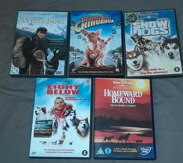 5 disney familiefilms met honden in de hoofdrol  beschikbaar voor biedingen