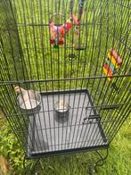 Cage pour grande perruche, Animaux & Accessoires, Enlèvement, Comme neuf