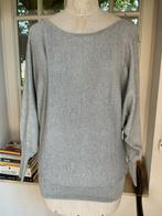 2 truien van Millenium , maat 40-42, Kleding | Dames, Ophalen of Verzenden, Maat 38/40 (M), Grijs