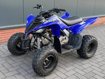 Yamaha Raptor 90 - Erg nette machine, weinig gebruikt beschikbaar voor biedingen