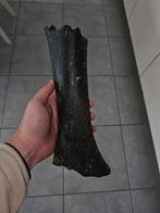 Femur Juvinele mammoet, Verzenden