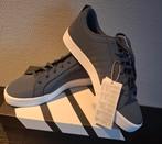 Adidas 42 2/3, Ophalen of Verzenden, Nieuw
