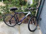 Herenfiets minerva, Fietsen en Brommers, Fietsen | Heren | Sportfietsen en Toerfietsen, Overige merken, 26 inch, Vering, Gebruikt