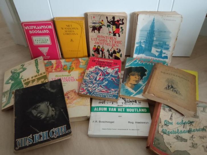 F.R. Boschvogel: boeken en romans (pakket), Livres, Livres Autre, Utilisé, Enlèvement