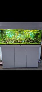 Aquarium Juwel Rio 240, Animaux & Accessoires, Poissons | Aquariums & Accessoires, Enlèvement, Aquarium vide