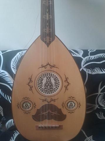 Oud Arabe  beschikbaar voor biedingen