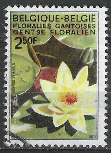 Belgie 1970 - Yvert/OBP 1524 - Gentse Floralien IV (ST) beschikbaar voor biedingen