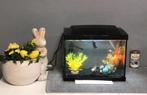 Aquarium, Dieren en Toebehoren, Ophalen, Zo goed als nieuw, Leeg aquarium