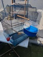 Cage pour oiseaux, Ophalen, Zo goed als nieuw, Metaal, Vogelkooi