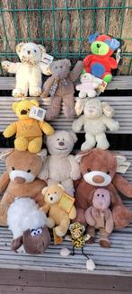 Câlins d'ours, Collections, Ours & Peluches, Enlèvement, Comme neuf, Autres types, Autres marques