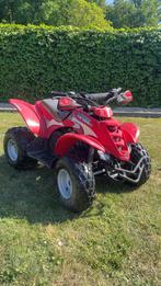 E-ton viper quad 90cc, Motoren, 90 cc