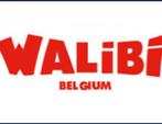 Billets Walibi Belgium, Walibi Wavre (8 disponibles), Trois personnes ou plus, Ticket ou Carte d'accès