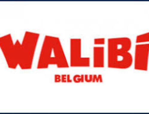 Billets Walibi Belgium, Walibi Wavre (8 disponibles), Tickets & Billets, Loisirs | Parcs d'attractions, Trois personnes ou plus