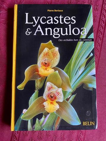 Boek: cultuur van LYCASTES & ANGULOA: orchideeën beschikbaar voor biedingen