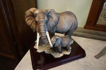 Olifant - Certificaat beschikbaar voor biedingen