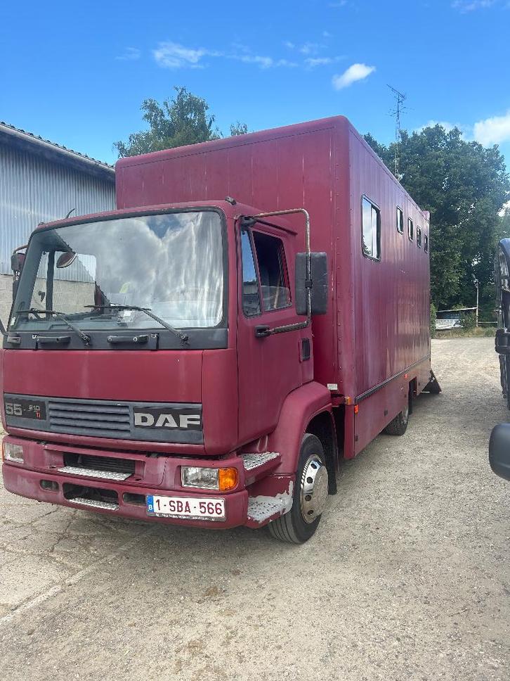 Vrachtwagen paarden, Dieren en Toebehoren, Paarden en Pony's | Trailers en Aanhangwagens, Gebruikt, Overige typen, Ophalen of Verzenden