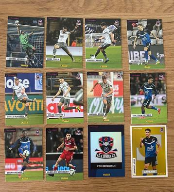 Panini pro league 2024/2025 Alle kaarten FC Dender beschikbaar voor biedingen