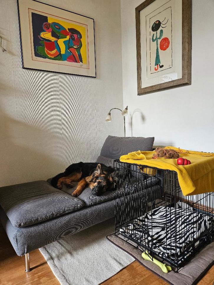 Boon Bench voor honden, Dieren en Toebehoren, Hondenbenches, Zo goed als nieuw, Ophalen of Verzenden