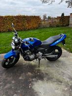 Honda cb600f hornet, Motoren, Motoren | Honda, 4 cilinders, Particulier, Meer dan 35 kW, 600 cc