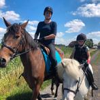 Recreatiemerrie 10 jaar, Dieren en Toebehoren, Paarden, Merrie, B, 7 tot 10 jaar, 160 tot 165 cm