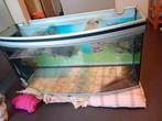 Volledig gebogen aquarium met kast filter vissen en decorati, Dieren en Toebehoren, Vissen | Aquaria en Toebehoren, Ophalen, Zo goed als nieuw