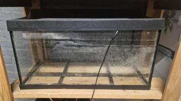 Aquarium  beschikbaar voor biedingen