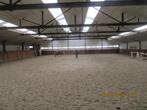 Thuisruiter flatrider, Dieren en Toebehoren, Paarden, ZZ