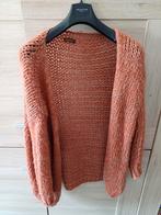 Cardigan van lululove TU, Vêtements | Femmes, Pulls & Gilets, Enlèvement ou Envoi, Comme neuf