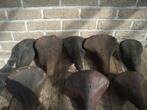 oude lederen fietszadels, Fietsen en Brommers, Ophalen, Gebruikt, Oldtimer, Brooks