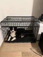 Hondenbench zwart metaal, Dieren en Toebehoren, Ophalen, Zo goed als nieuw