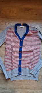 trui / gilet CKS maat 164, Garçon, Enlèvement ou Envoi, Pull ou Veste, Cks