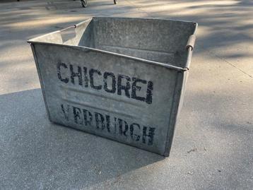 Zinken bak chicorei Verburgh beschikbaar voor biedingen