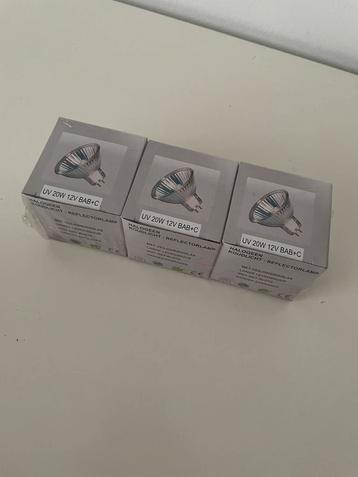 3 spots beschikbaar voor biedingen