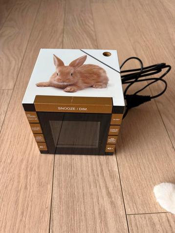 Klokradio wekkeradio konijn met projectie beschikbaar voor biedingen