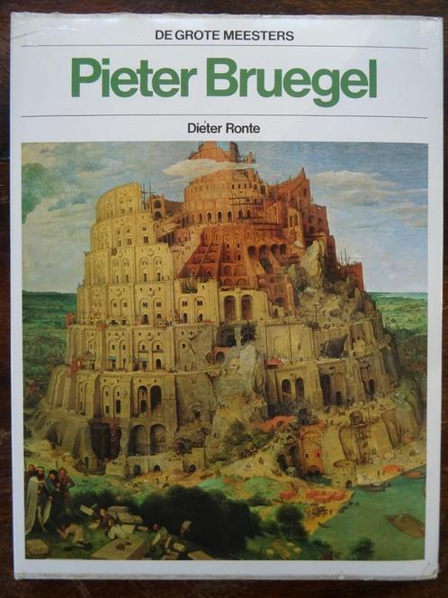 Kunstboek Pieter Bruegel Dieter Ronte Pieter Bruegel 1e druk, Boeken, Kunst en Cultuur | Beeldend, Zo goed als nieuw, Schilder- en Tekenkunst