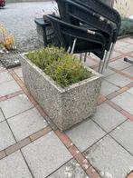 Stenen bloembakken 2 stuks, Tuin en Terras, Bloembakken en Plantenbakken, Ophalen