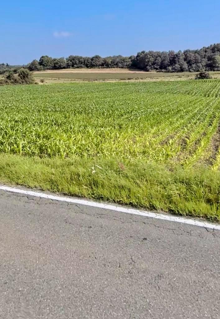 Terrain À Bâtir 5570 Beauraing !! 5440 M2 !!, Immo, Terrains & Terrains à bâtir, 1500 m² ou plus, Ventes sans courtier