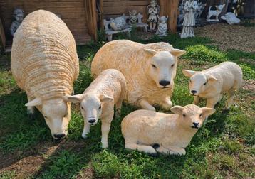 Onze texel schapen en lammen, tuinbeelden, Enlèvement, Neuf, Synthétique, Animal