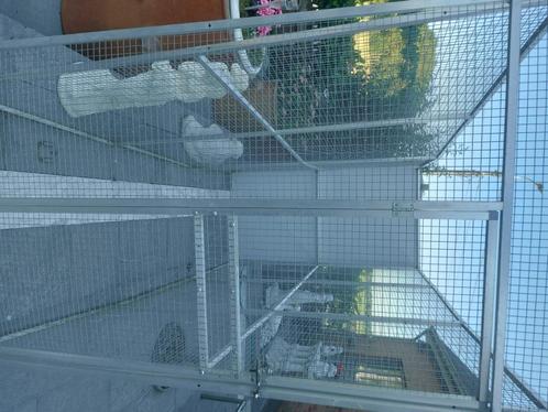 Voliere, Dieren en Toebehoren, Vogels | Hokken en Kooien, Gebruikt, Volière, Aluminium, Ophalen