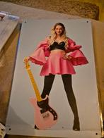 Camille metalen plaat, Verzamelen, Ophalen of Verzenden