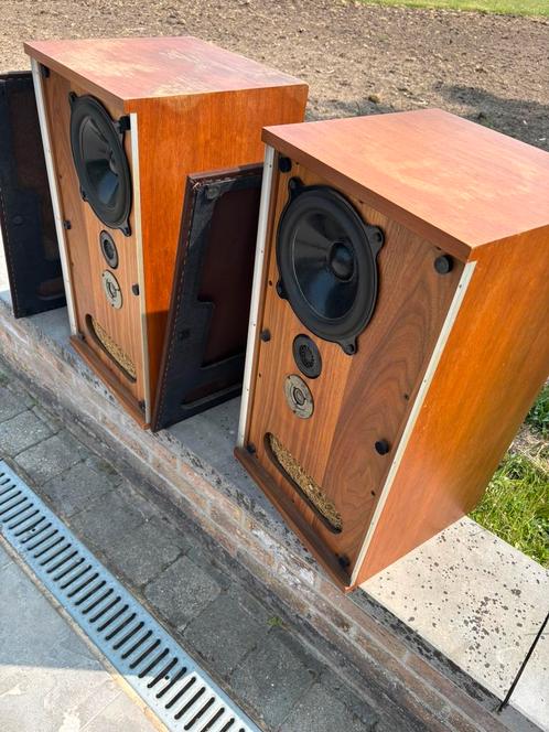 B&W DM2a in goed spelende vintage staat, Audio, Tv en Foto, Luidsprekerboxen, Gebruikt, Front, Rear of Stereo speakers, 60 tot 120 watt