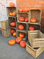 appel en fruitbakken, Ophalen of Verzenden