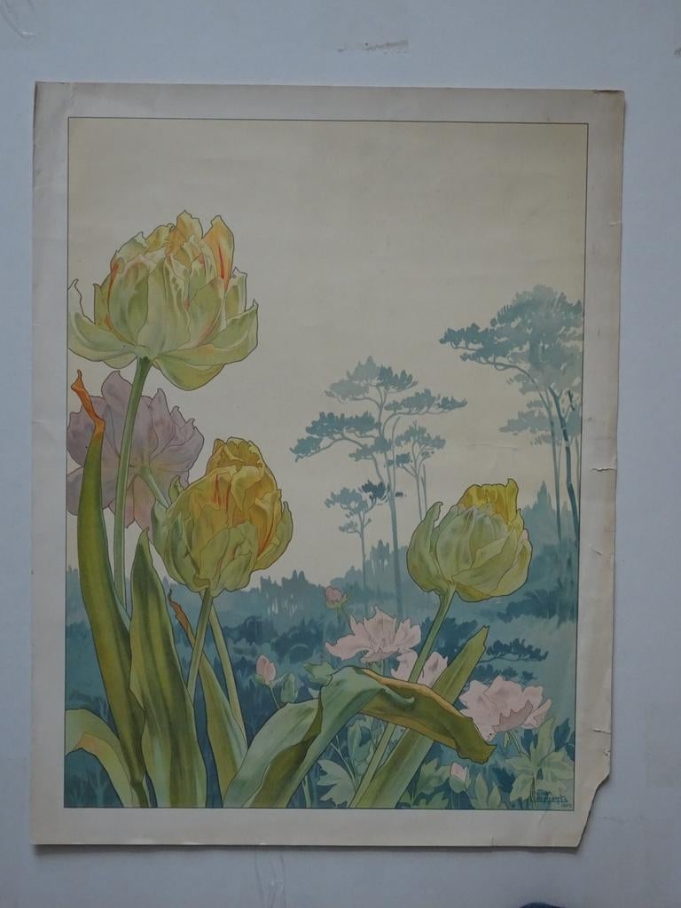 Privat-Livemont Tulpen Tulipes 1903, Antiek en Kunst, Kunst | Litho's en Zeefdrukken, Ophalen