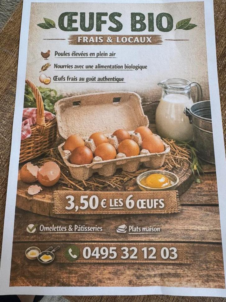 Oeufs bio, Animaux & Accessoires, Autres accessoires pour animaux, Neuf, Enlèvement