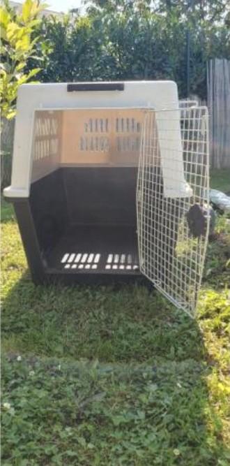 FERPLAST grote hondendraagtas voor grote honden, Dieren en Toebehoren, Hondenhokken, Ophalen