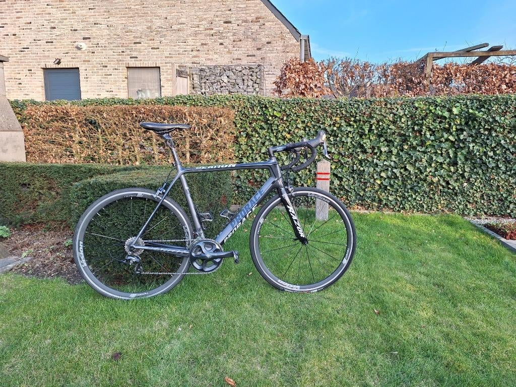 Fiets Prorace Deamon, Autres marques, Enlèvement, Utilisé, 28 pouces