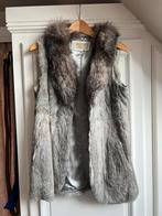 Manteau sans manche fourrure, Kleding | Dames, Bodywarmers, Ophalen of Verzenden, Zo goed als nieuw