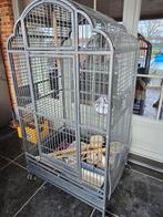 Vogelkooi, Ophalen, Gebruikt, Metaal, Vogelkooi